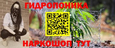 mdma Кандалакша
