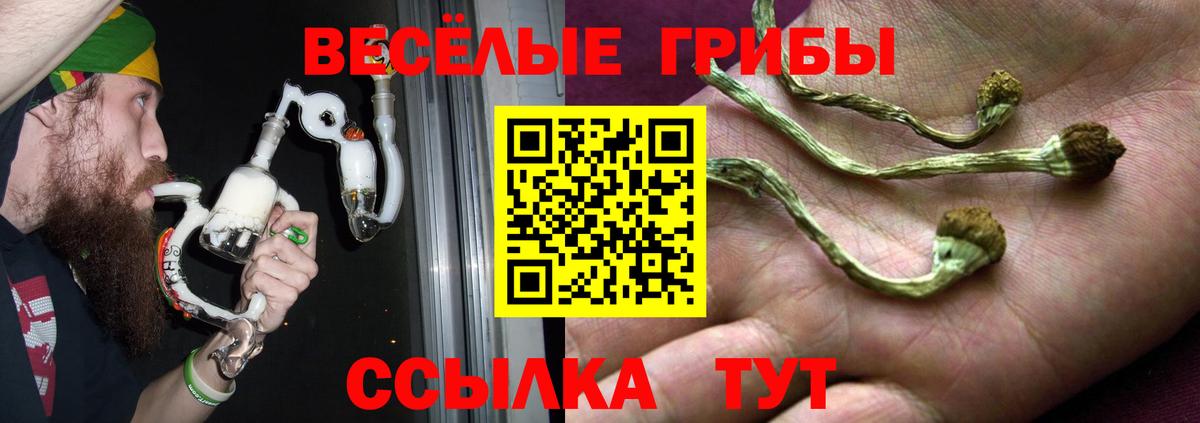 где можно купить   Вход с VPN  Морозовск  Галлюциногенные грибы ЛСД 