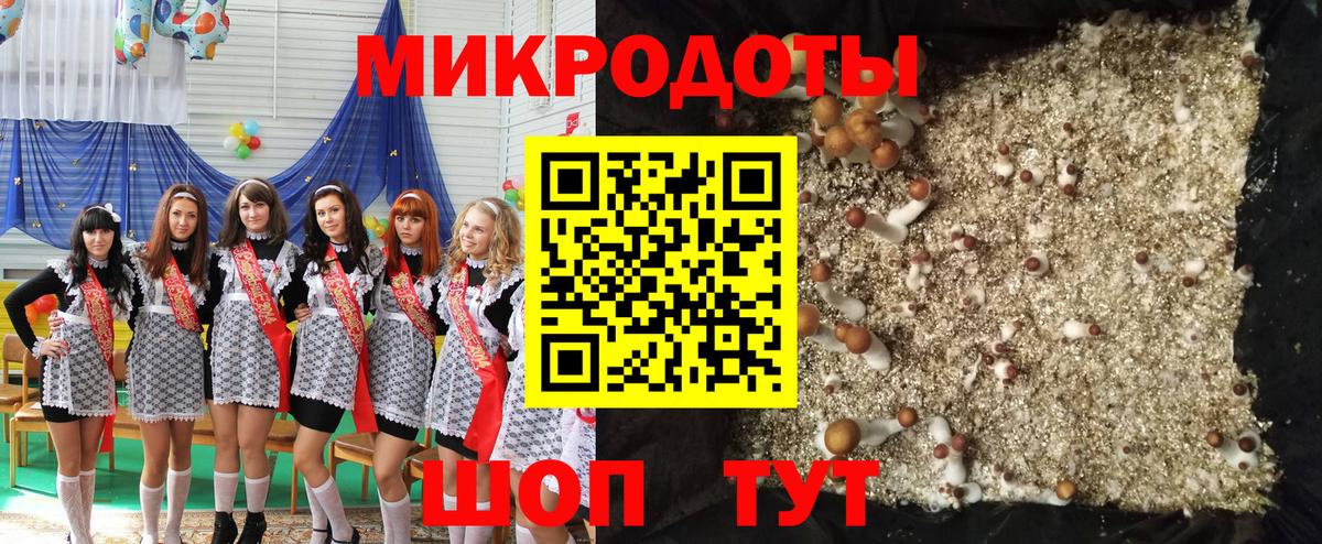 Псилоцибиновые грибы Cubensis Морозовск